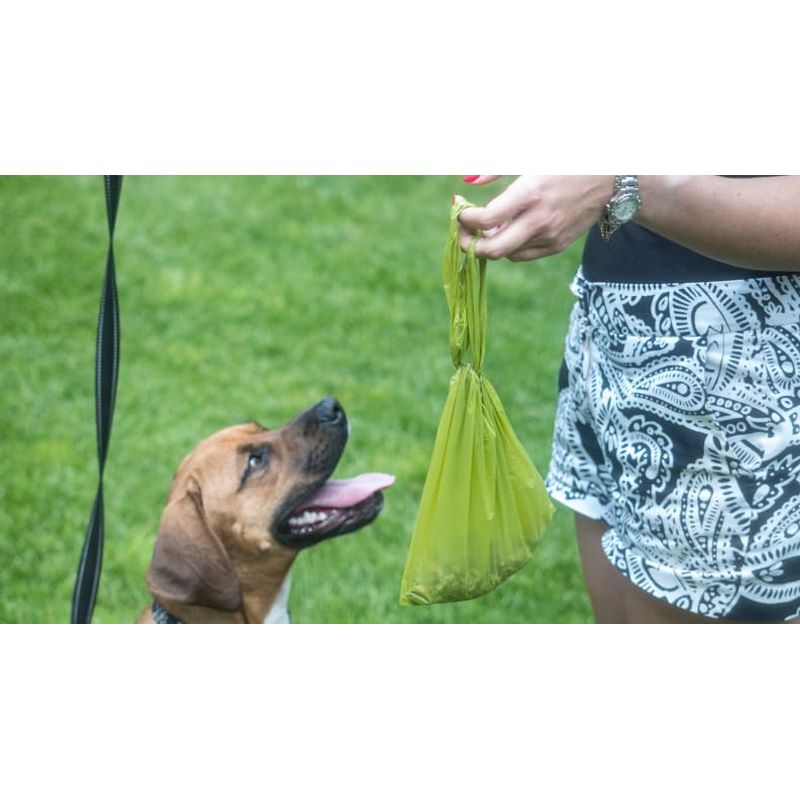 Water Soluble Dog Poop Bags supplier
